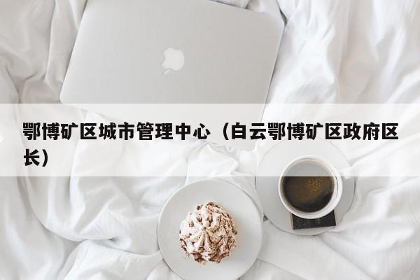 鄂博矿区城市管理中心（白云鄂博矿区政府区长）