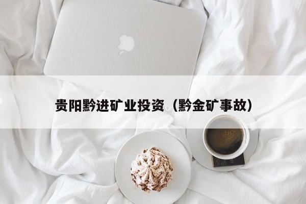 贵阳黔进矿业投资（黔金矿事故）