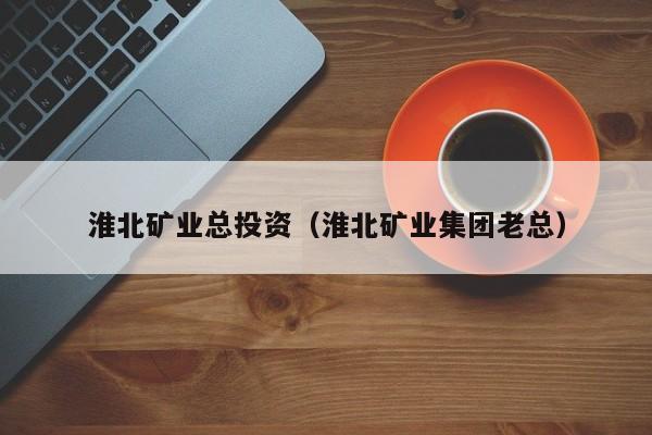 淮北矿业总投资（淮北矿业集团老总）