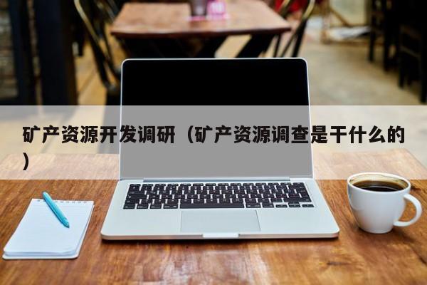 矿产资源开发调研（矿产资源调查是干什么的）