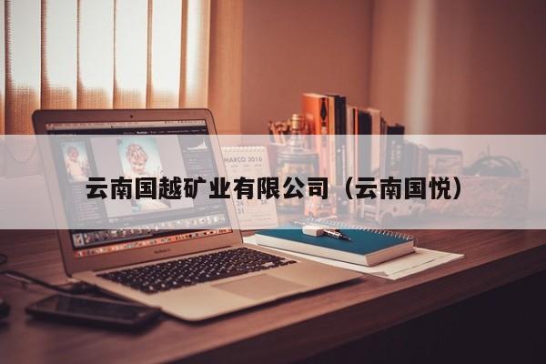 云南国越矿业有限公司（云南国悦）