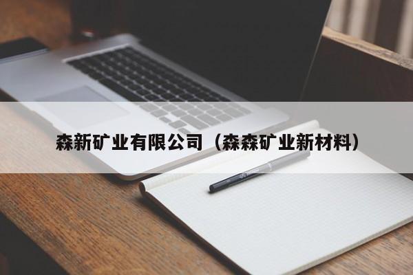森新矿业有限公司（森森矿业新材料）