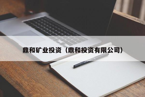 鼎和矿业投资（鼎和投资有限公司）
