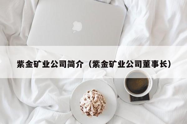 紫金矿业公司简介（紫金矿业公司董事长）