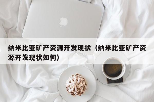 纳米比亚矿产资源开发现状（纳米比亚矿产资源开发现状如何）