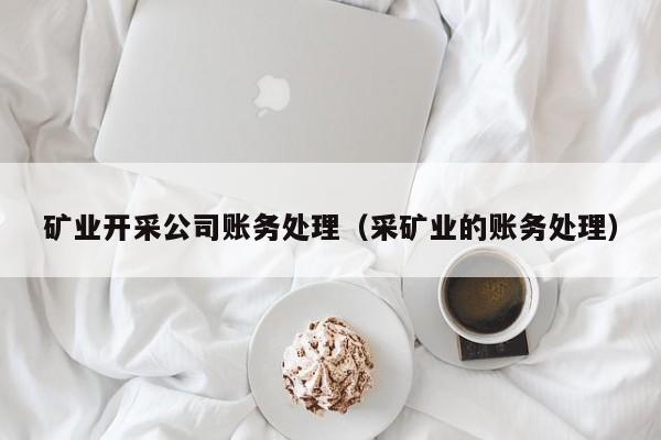 矿业开采公司账务处理（采矿业的账务处理）