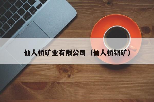 仙人桥矿业有限公司（仙人桥铜矿）