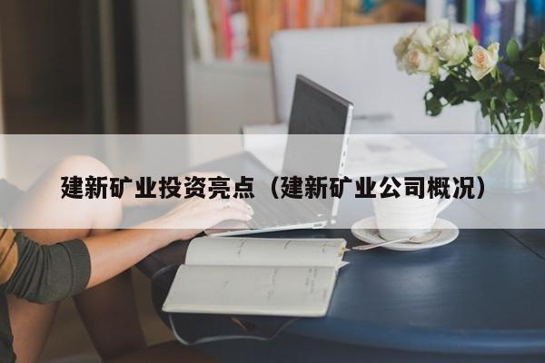 建新矿业投资亮点（建新矿业公司概况）