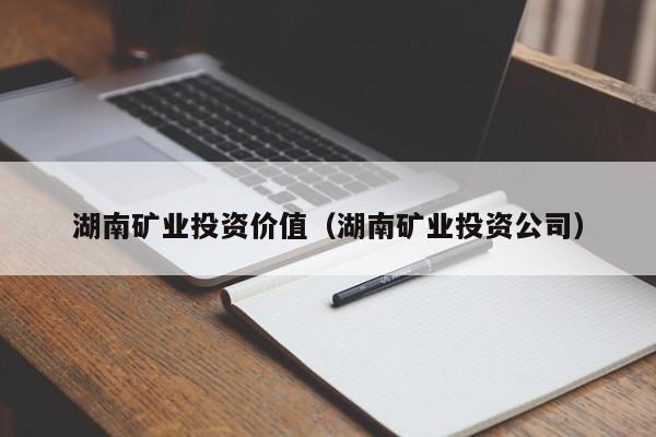 湖南矿业投资价值（湖南矿业投资公司）
