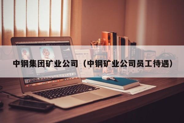 中钢集团矿业公司（中钢矿业公司员工待遇）