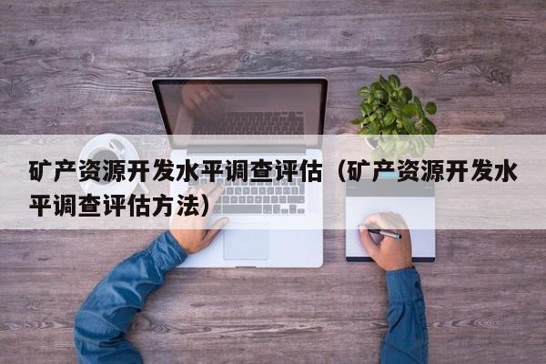 矿产资源开发水平调查评估（矿产资源开发水平调查评估方法）