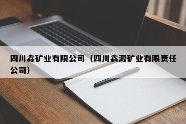 四川鑫矿业有限公司（四川鑫源矿业有限责任公司）