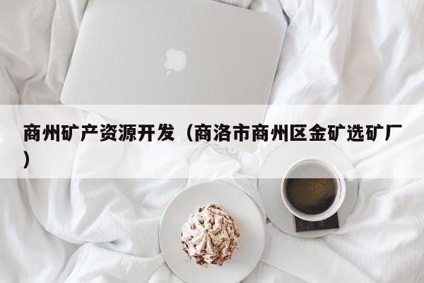 商州矿产资源开发（商洛市商州区金矿选矿厂）